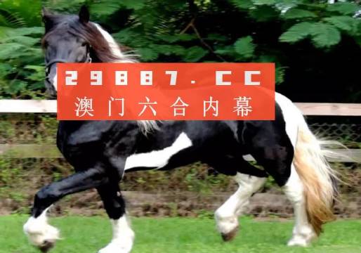 澳门与香港一肖一码一一特一中/精选解析、解释与落实