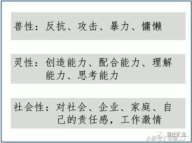 澳门与香港，精准四肖期期中特公开与落实的释义