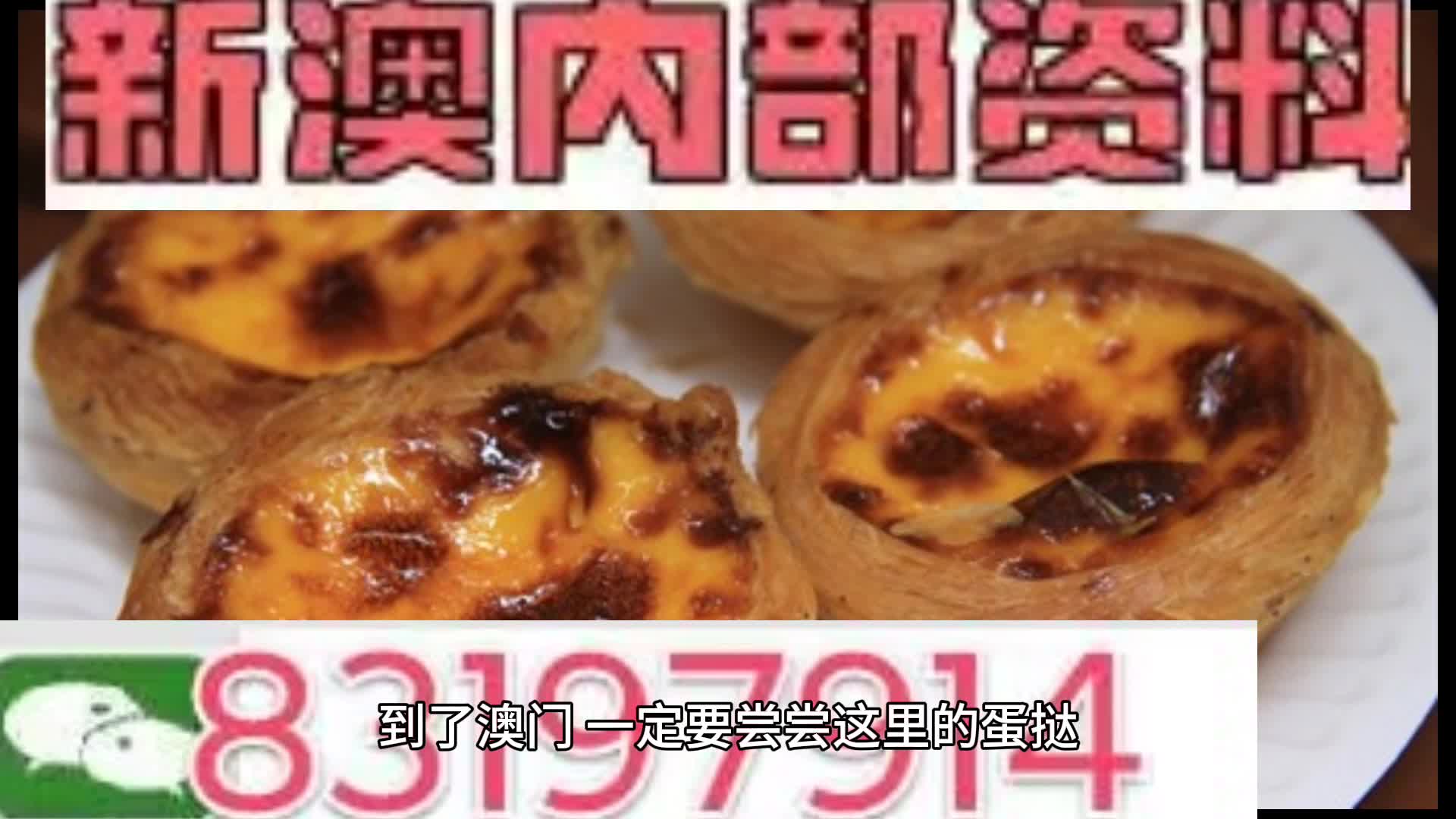 新澳门资料大全正版资料，奥利奥与全面释义解释落实的周全释义