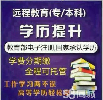 嘉兴成人自考网，开启终身学习的智慧之门