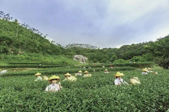 惠州招聘信息58同城，探索惠州就业市场的新机遇